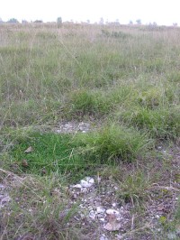 magredi 03