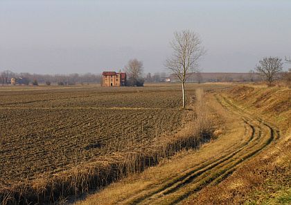 bassa pianura