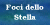 Foci Stella