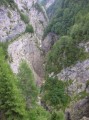 lumiei 1