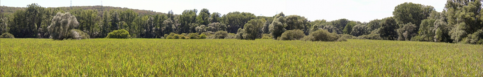 Lago di Doberdo