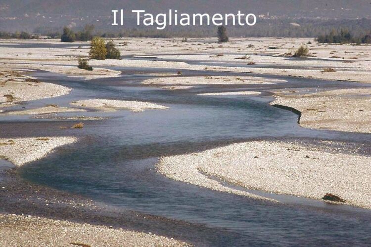 tagliamento