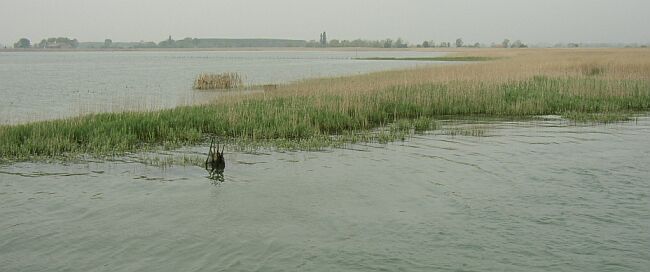 laguna_5