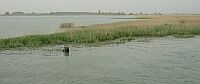laguna_7a