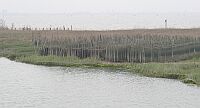laguna_13a