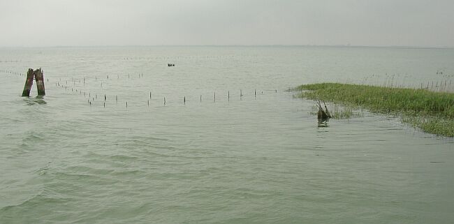 laguna_14