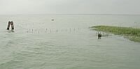 laguna_14a