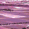 pianura